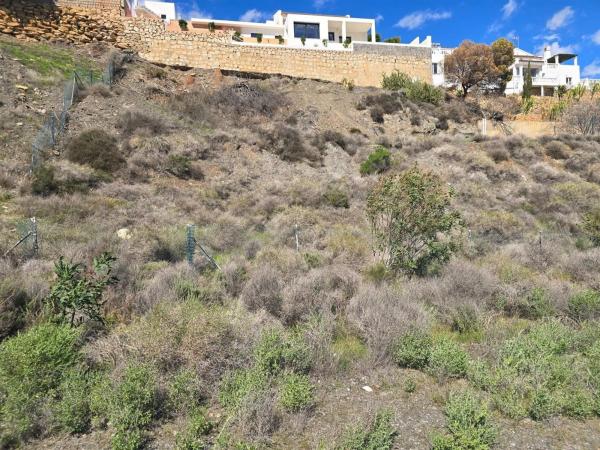 Terreno en calle Macenas