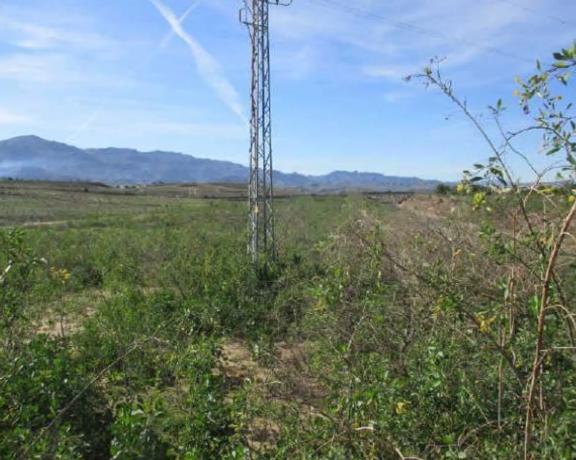 Terreno en Paraje Cañada del Palmar