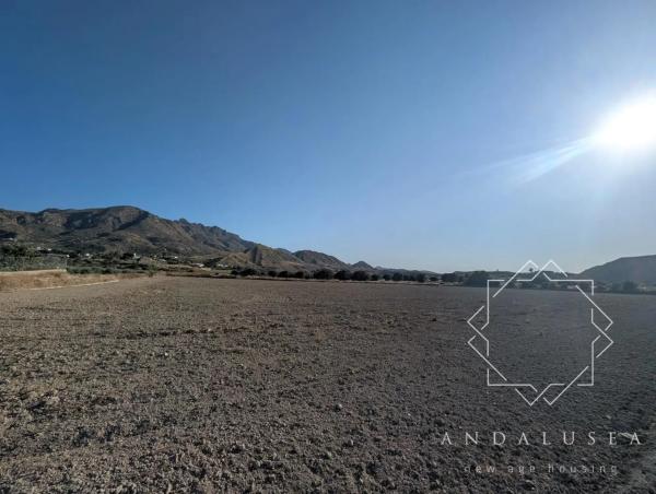 Terreno en Barriada El Faz