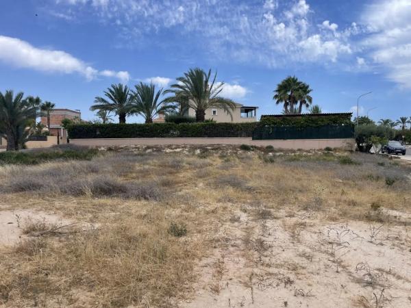 Terreno en calle Árbol de la Seda