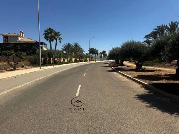 Terreno en paseo de los Limoneros s/n