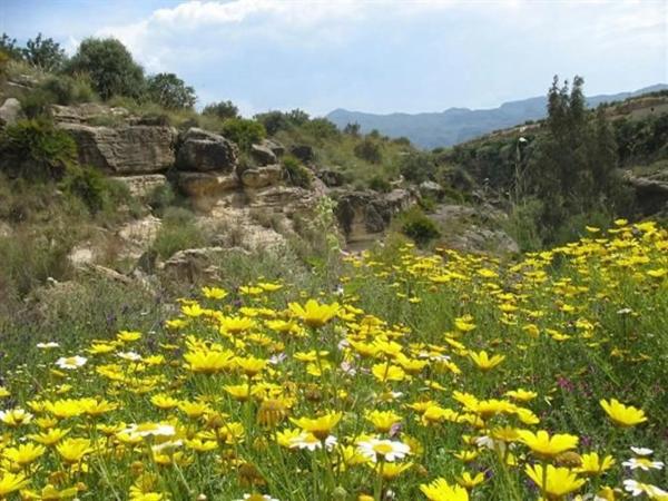 Terreno en avenida de la Libertad