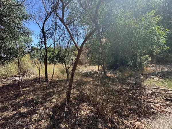 Terreno en Huerta Alta s/n