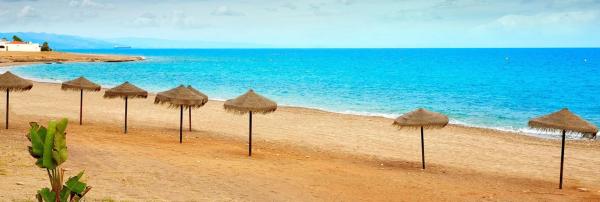 Terreno en camino del Palmeral s/n Sn