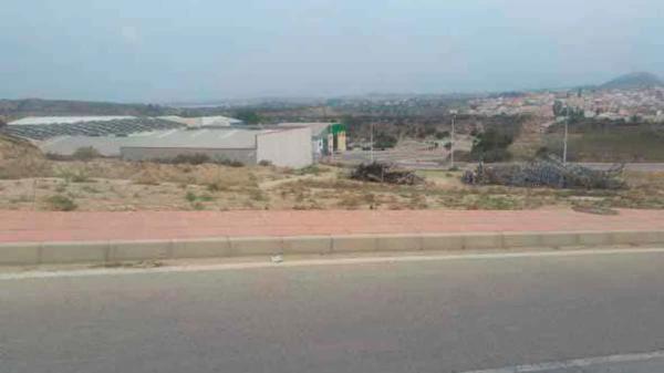 Terreno en calle Erics Alta s/n