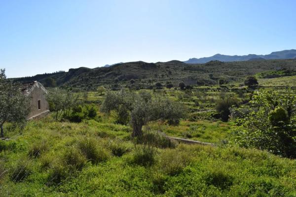 Terreno en Barriada los Lopez
