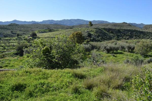 Terreno en Barriada los Lopez