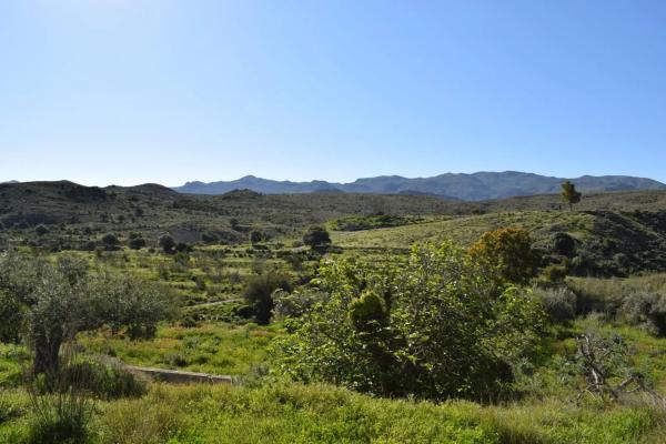 Terreno en Barriada los Lopez