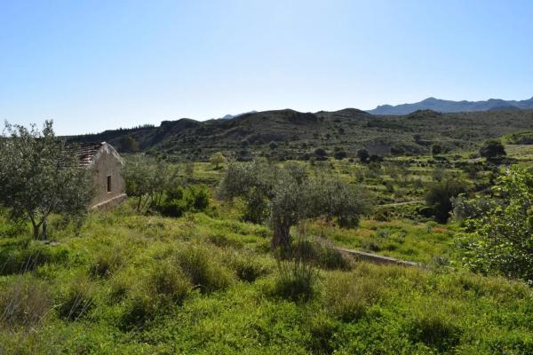 Terreno en Barriada los Lopez