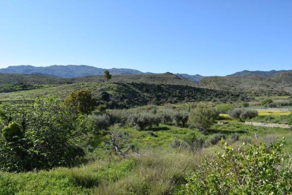 Terreno en Barriada los Lopez