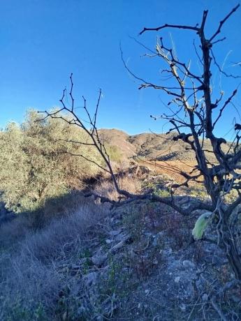 Terreno en Cristóbal Contreras, 13