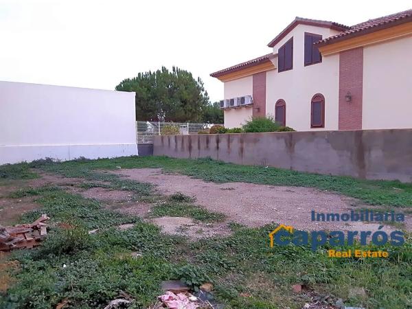 Terreno en calle Libertad