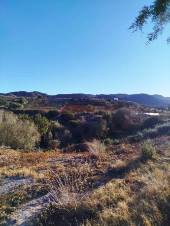 Terreno en Cristóbal Contreras, 13