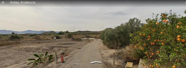 Terreno en Polígono 15 parcela 163, Los Llanos, 163