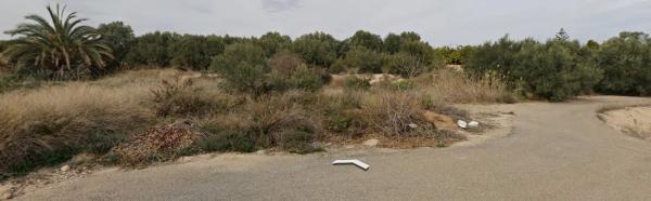 Terreno en Polígono 15 parcela 163, Los Llanos, 163