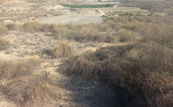 Terreno en Polígono 21, 21