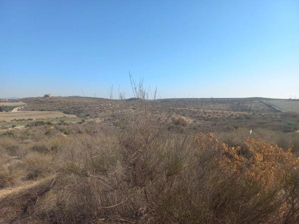 Terreno en Polígono 21, 21