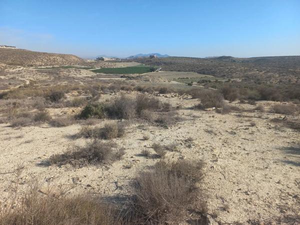 Terreno en Polígono 21, 21