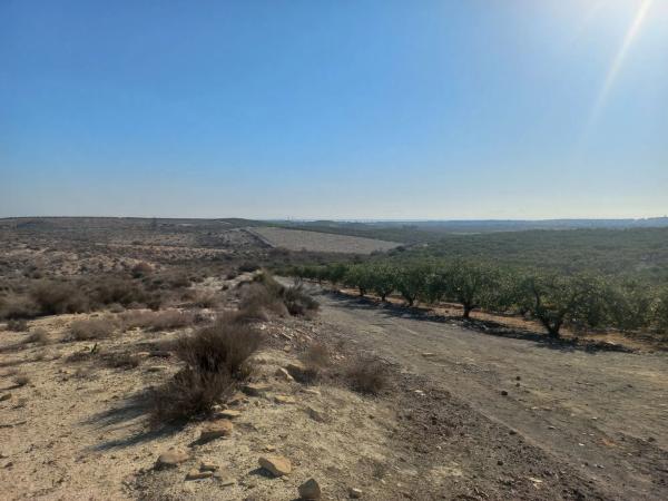 Terreno en Polígono 21, 21