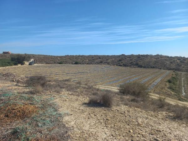 Terreno en Polígono 21, 21