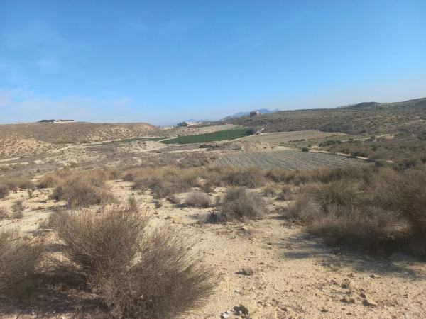 Terreno en Polígono 21, 21