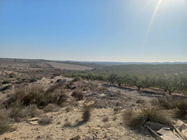 Terreno en Polígono 21, 21