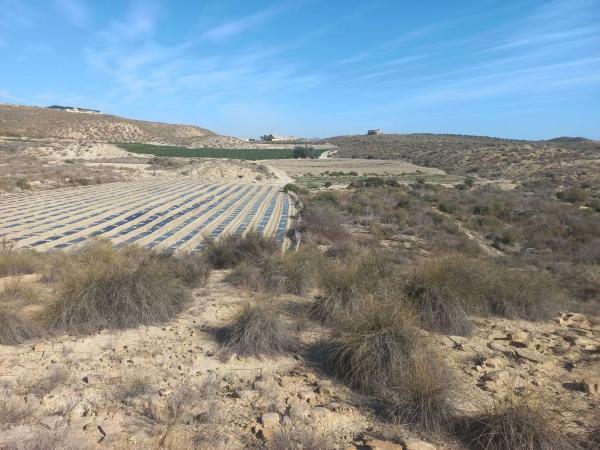 Terreno en Polígono 21, 21