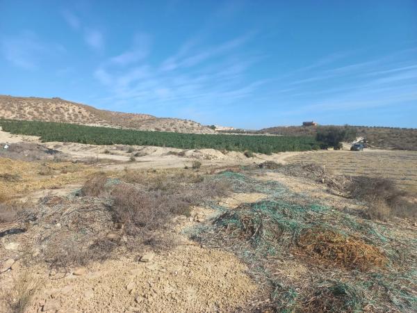 Terreno en Polígono 21, 21