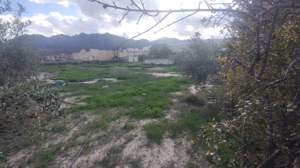 Terreno en calle el Pago s/n