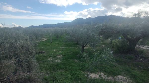 Terreno en calle el Pago s/n