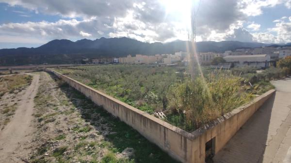 Terreno en calle el Pago s/n