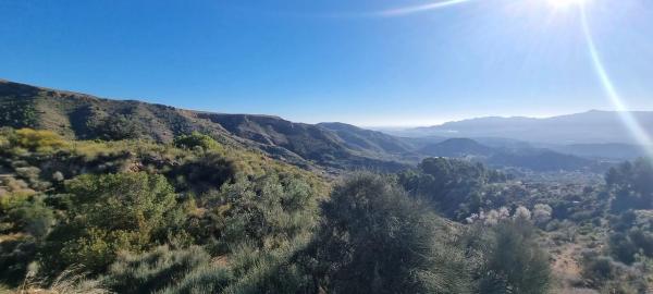 Terreno en calle Los Brunos, 3