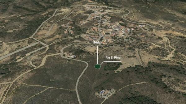 Terreno en carretera el Pinar