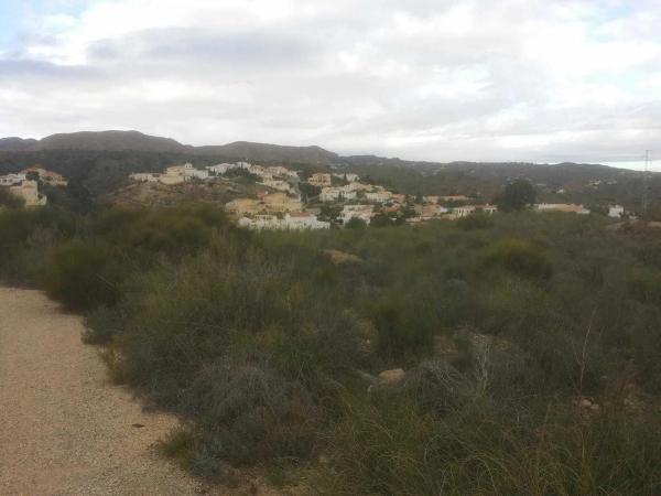 Terreno en carretera el Pinar