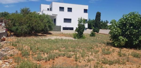 Terreno en Zona el Palmeral