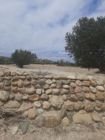 Terreno en El Faz, Mojácar s/n