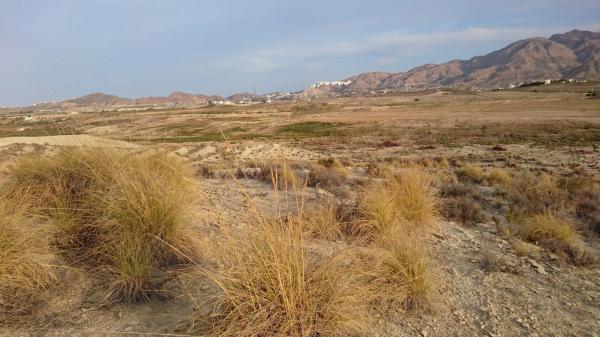 Terreno en Los recoldos s/n