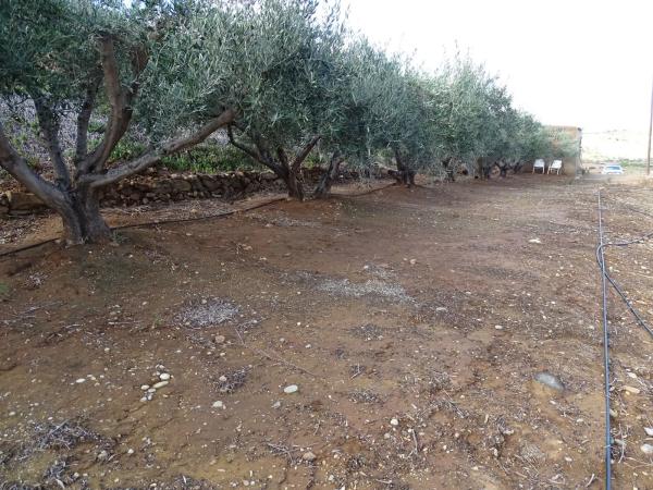 Terreno en Barrio Jauro, 17