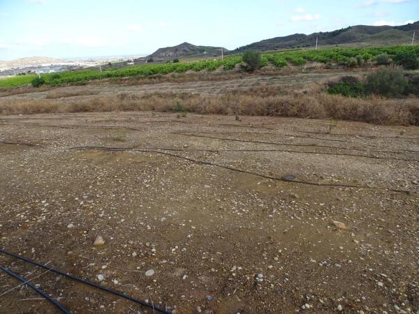Terreno en Barrio Jauro, 17