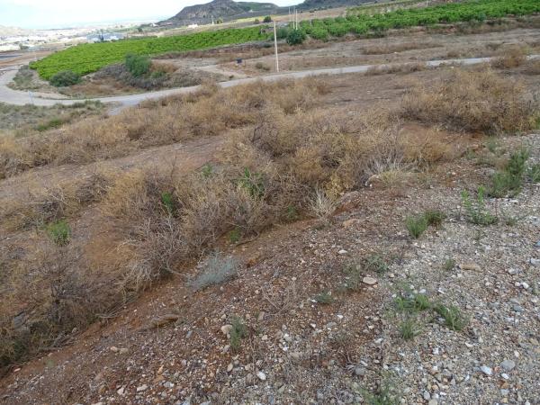 Terreno en Barrio Jauro, 17