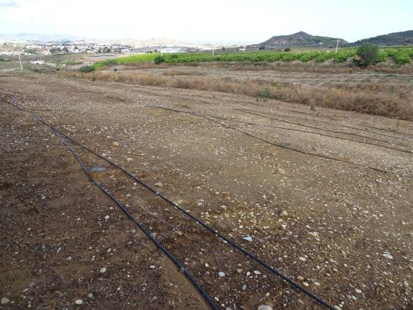 Terreno en Barrio Jauro, 17