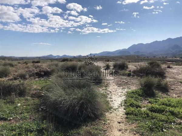 Terreno en avenida Huerta Nueva