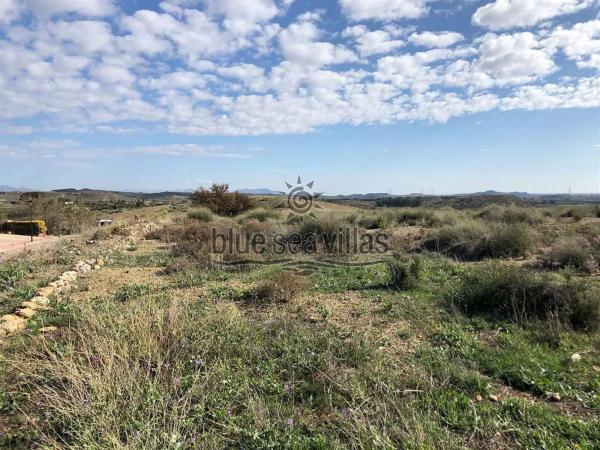 Terreno en avenida Huerta Nueva
