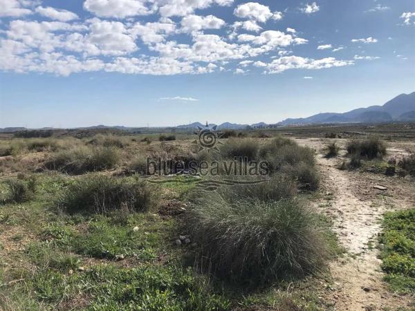 Terreno en avenida Huerta Nueva