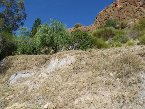 Terreno en calle Golondrina