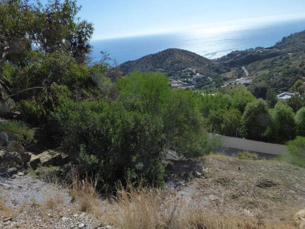 Terreno en calle Golondrina