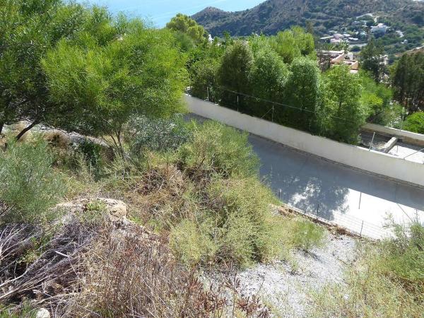 Terreno en calle Golondrina