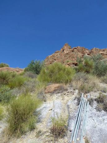 Terreno en calle Golondrina