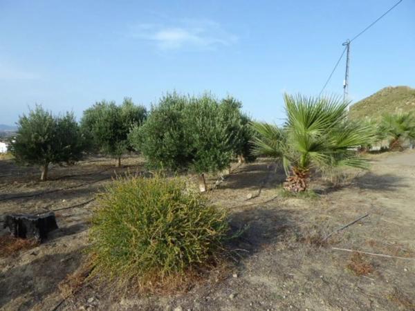 Terreno en Mojácar Pueblo