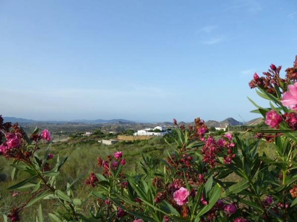 Terreno en Mojácar Pueblo